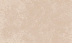 Decorazza STUCCO VENEZIANO / Цвет #SV  10-69